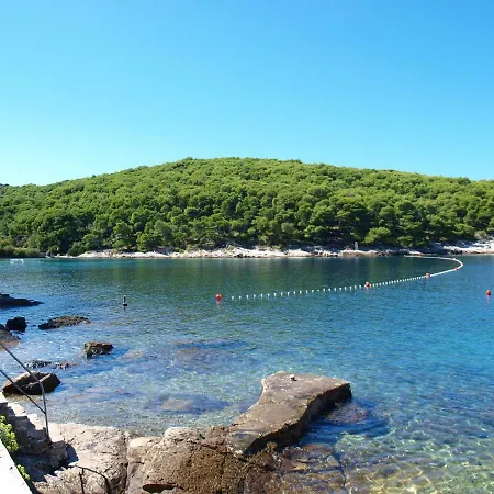 Apartament Petricic