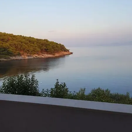Petricic Apartament *