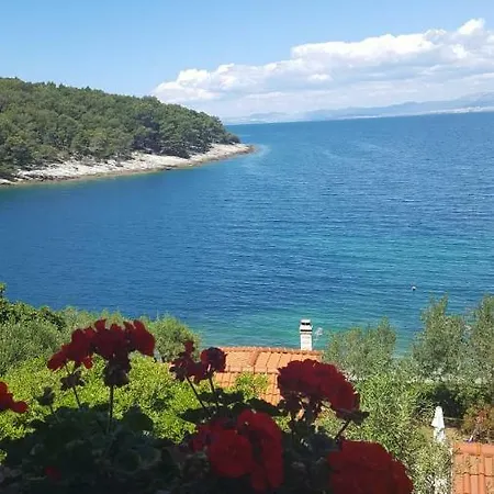 Petricic Appartement *