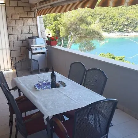 Petricic Appartement *