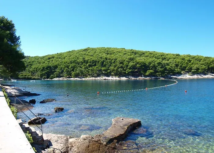 Apartamento Petricic